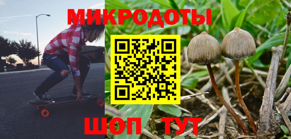 Псилоцибиновые грибы GOLDEN TEACHER  Вход с VPN  Сибай 